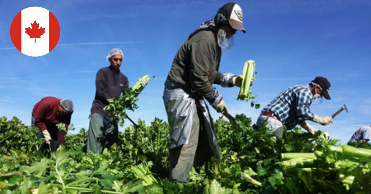 General Farm Worker Jobs in Canada