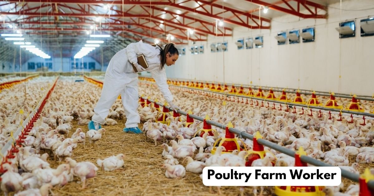 Poultry Farm Worker Jobs in Canada
